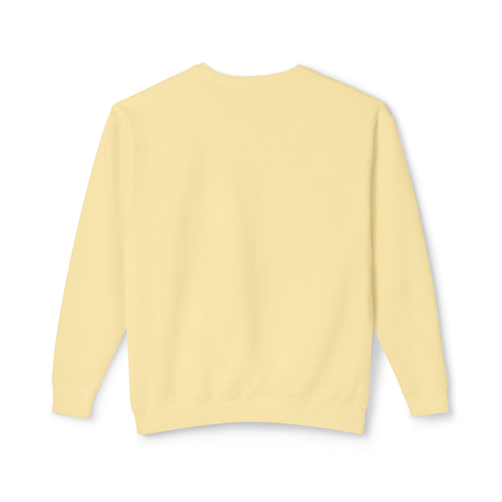 Crewneck Sweatshirt — Retro NBW Stripe Logo Lightweight Pullover