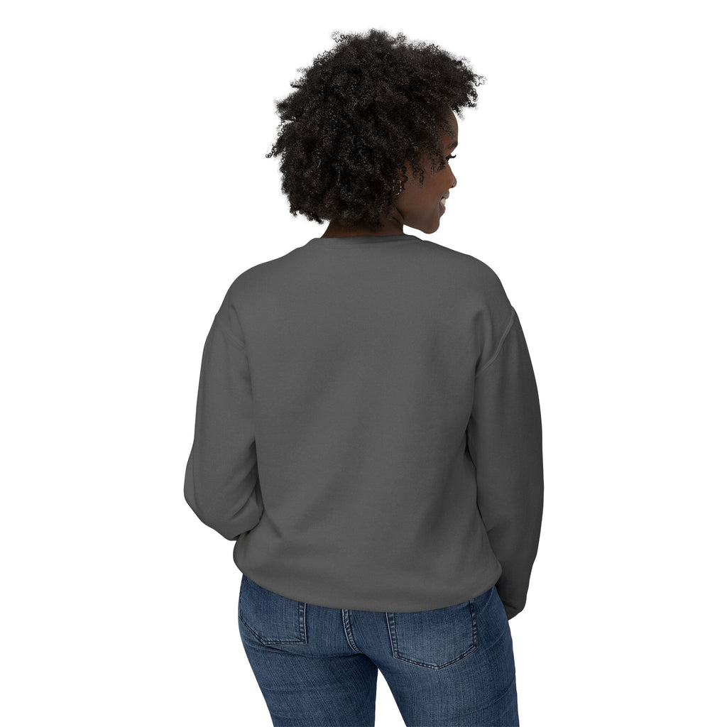 Crewneck Sweatshirt — Retro NBW Stripe Logo Lightweight Pullover