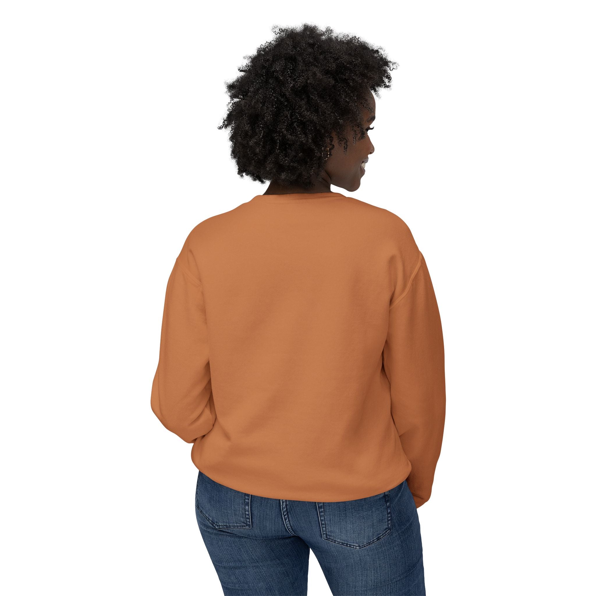 Crewneck Sweatshirt — Retro NBW Stripe Logo Lightweight Pullover