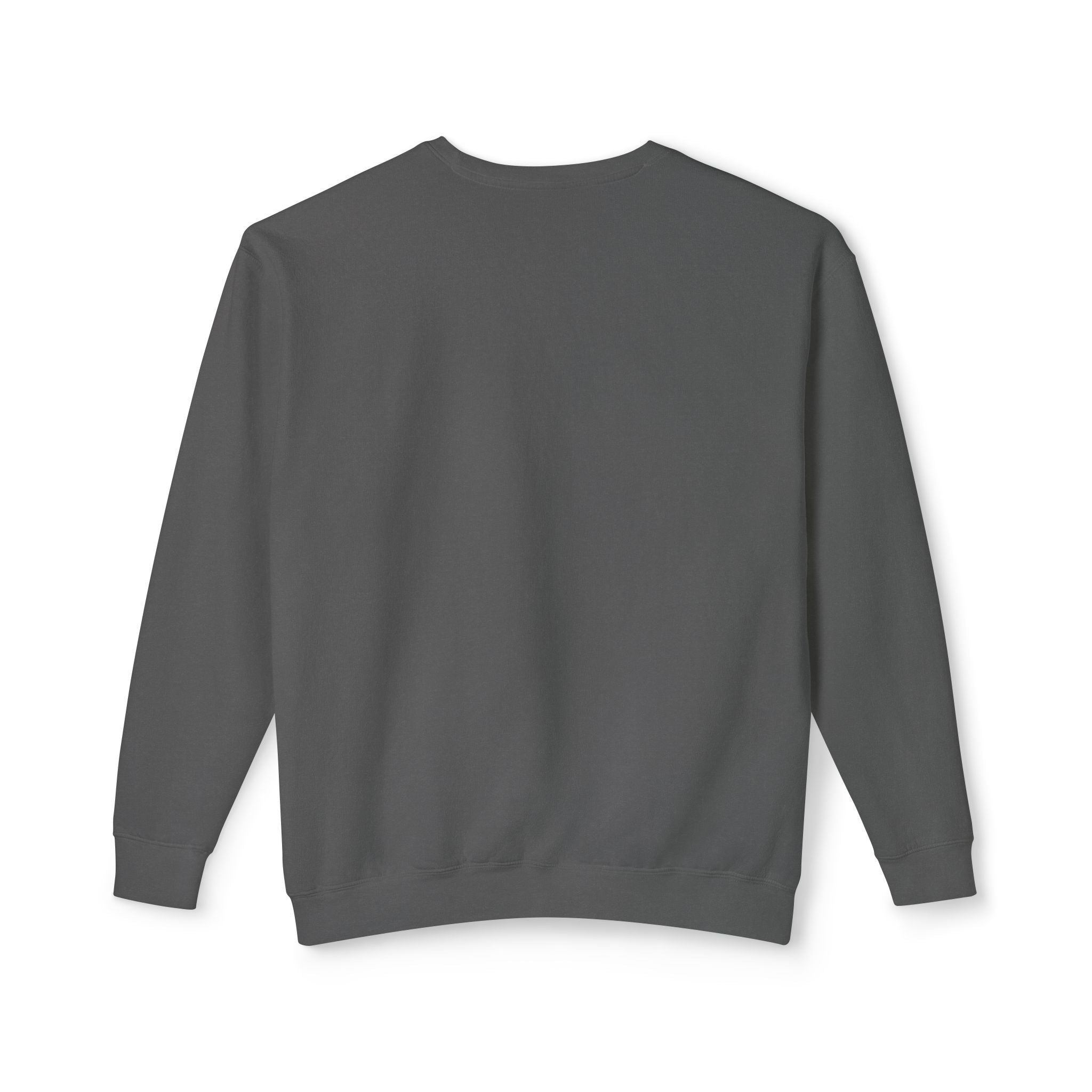 Crewneck Sweatshirt — Retro NBW Stripe Logo Lightweight Pullover