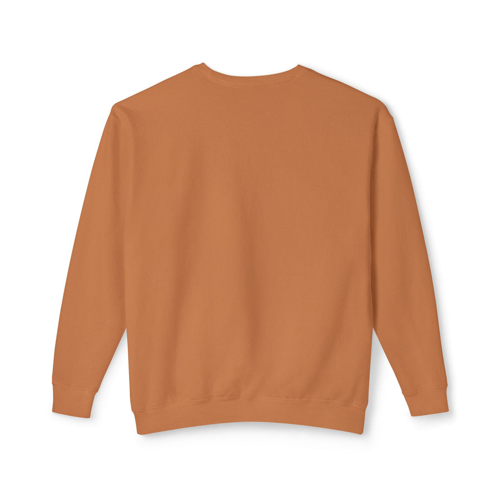 Crewneck Sweatshirt — Retro NBW Stripe Logo Lightweight Pullover