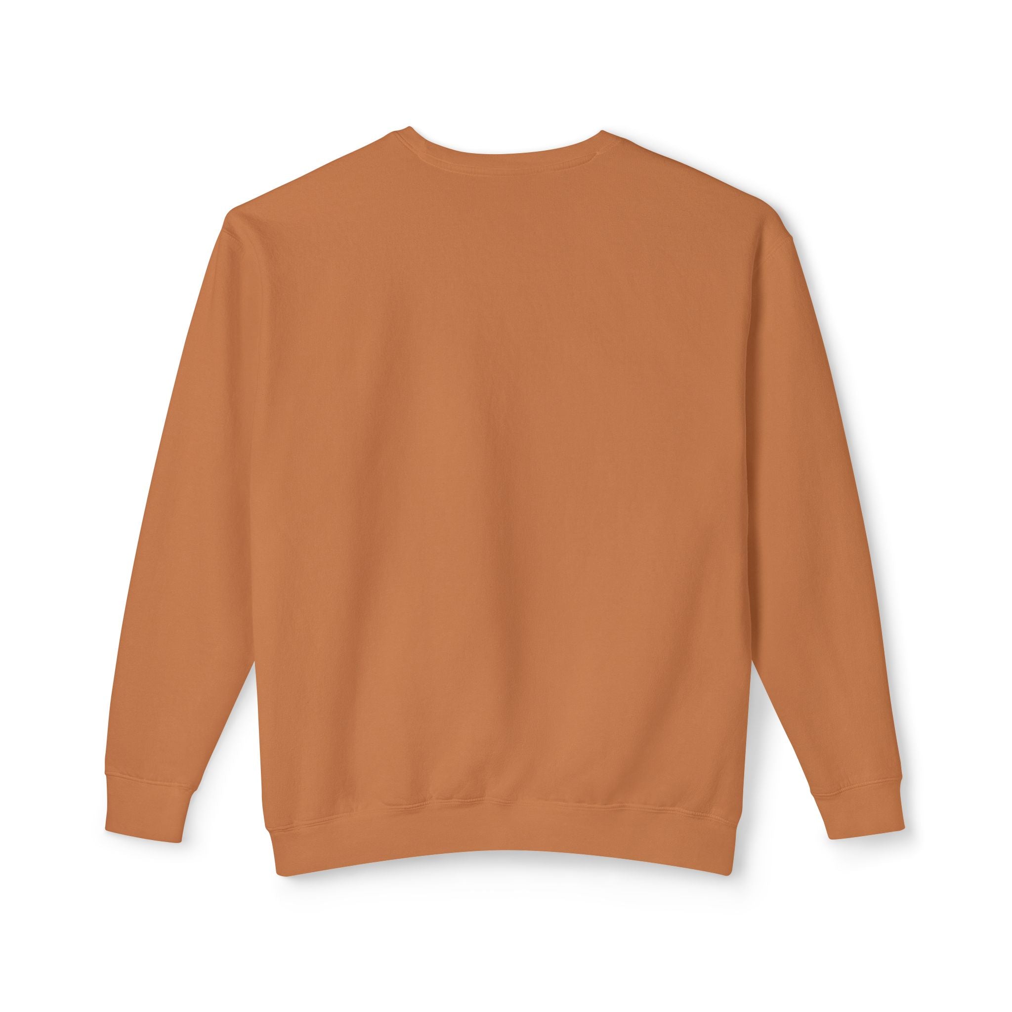 Crewneck Sweatshirt — Retro NBW Stripe Logo Lightweight Pullover