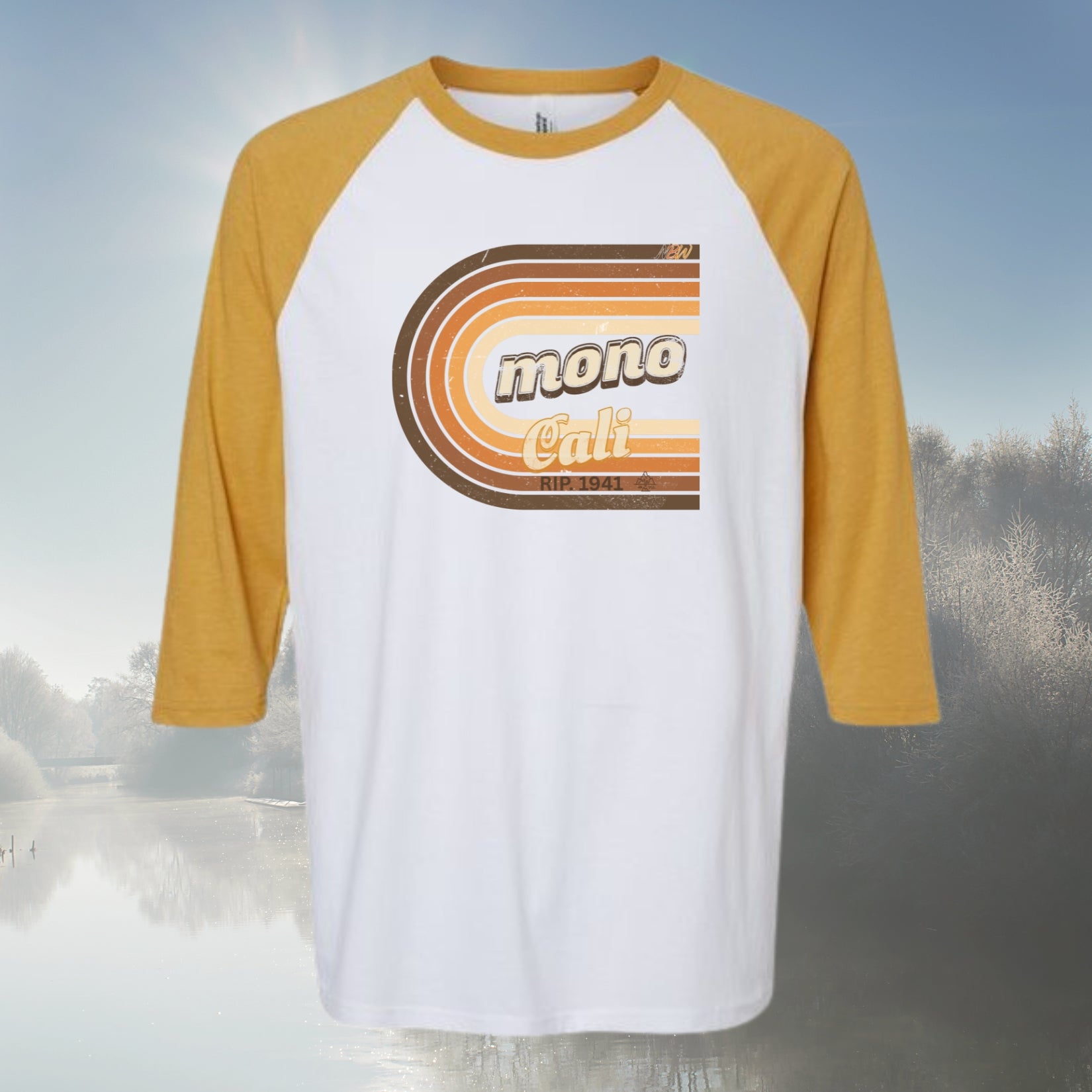 NBW Retro 'Mono Cali' Raglan Tee — 3/4 Sleeve Vintage Striped California Graphic