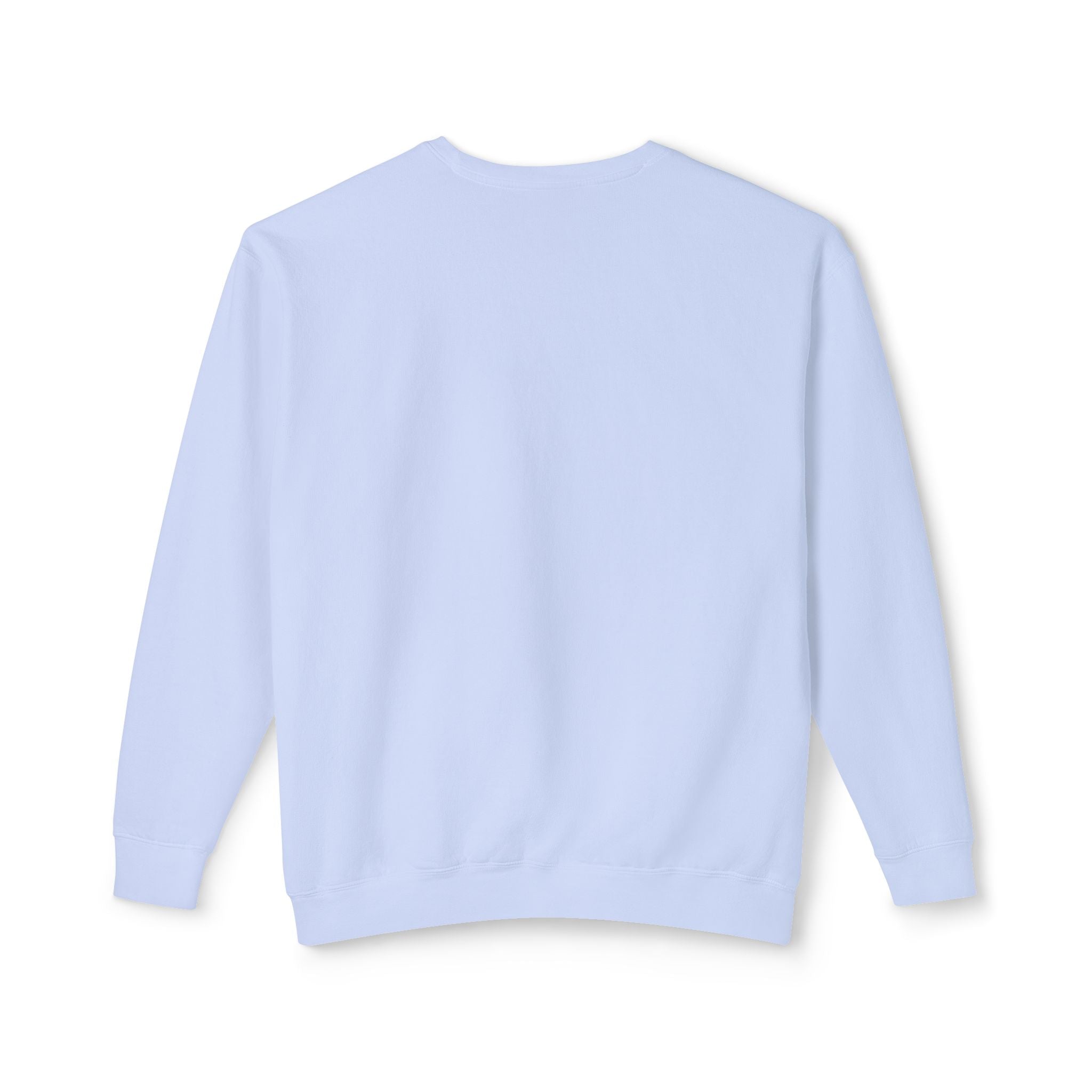 Crewneck Sweatshirt — Retro NBW Stripe Logo Lightweight Pullover