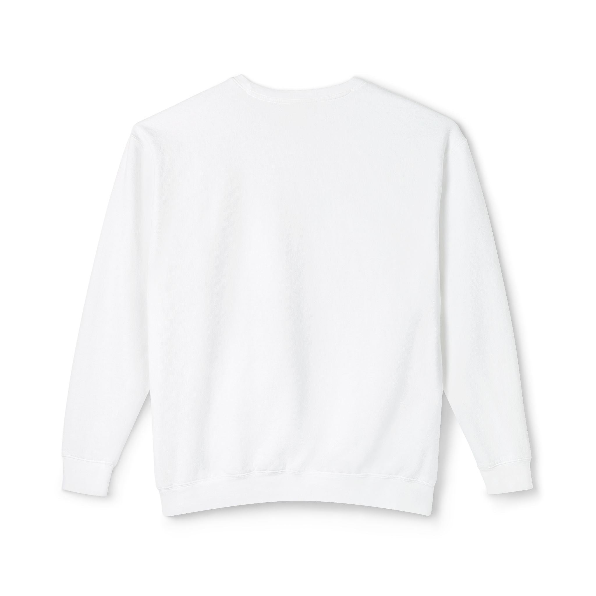 Crewneck Sweatshirt — Retro NBW Stripe Logo Lightweight Pullover