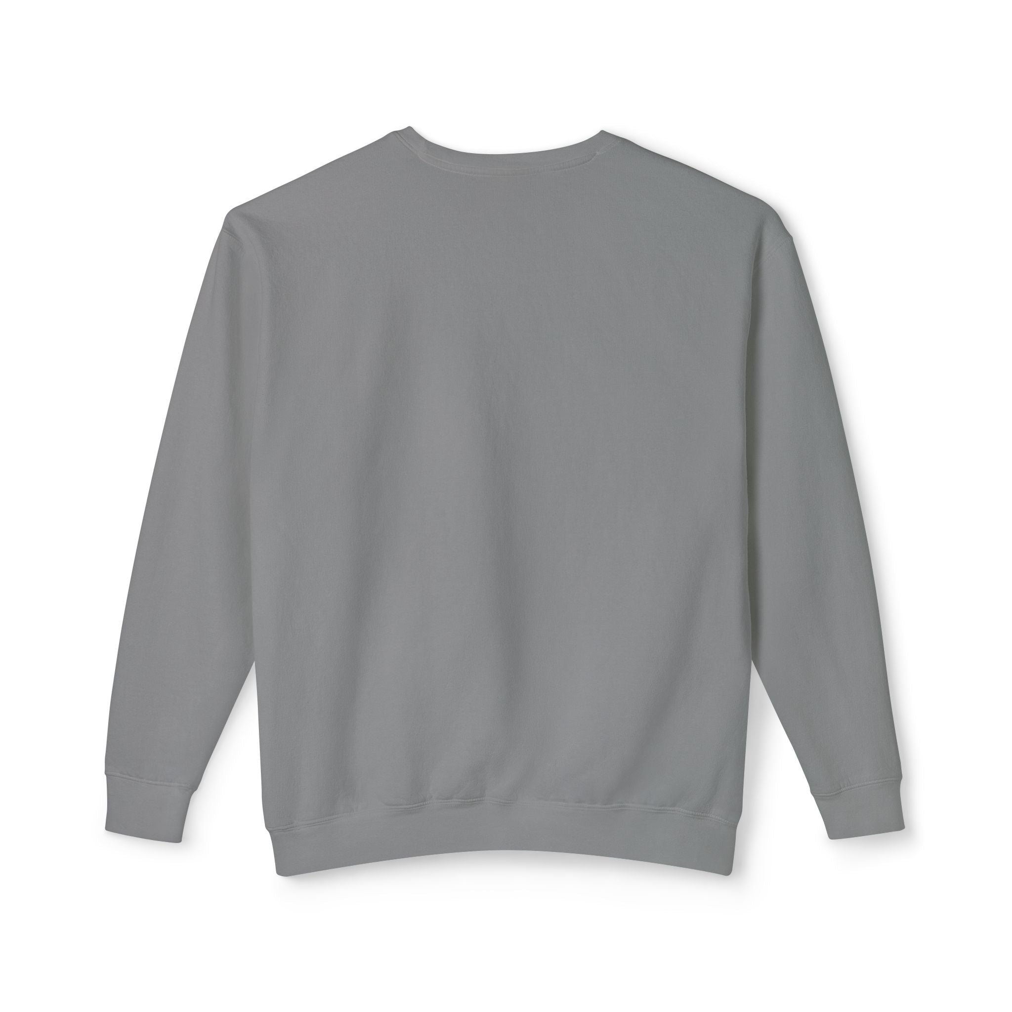 Crewneck Sweatshirt — Retro NBW Stripe Logo Lightweight Pullover
