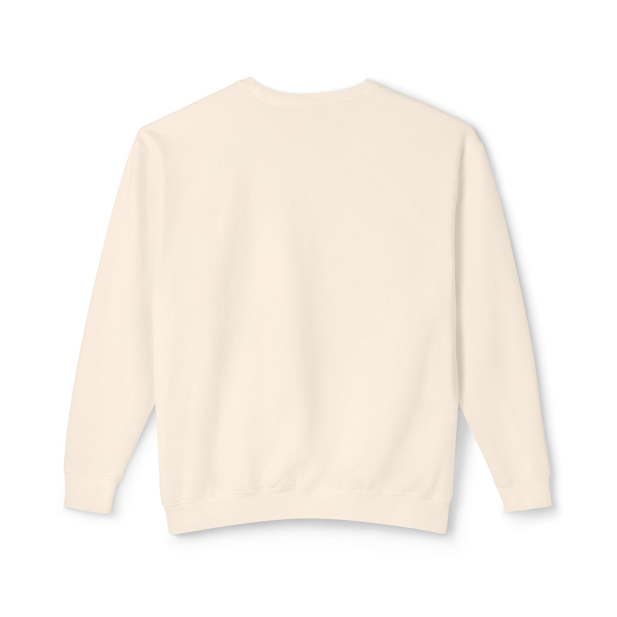 Crewneck Sweatshirt — Retro NBW Stripe Logo Lightweight Pullover
