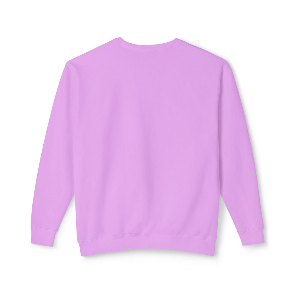 Crewneck Sweatshirt — Retro NBW Stripe Logo Lightweight Pullover