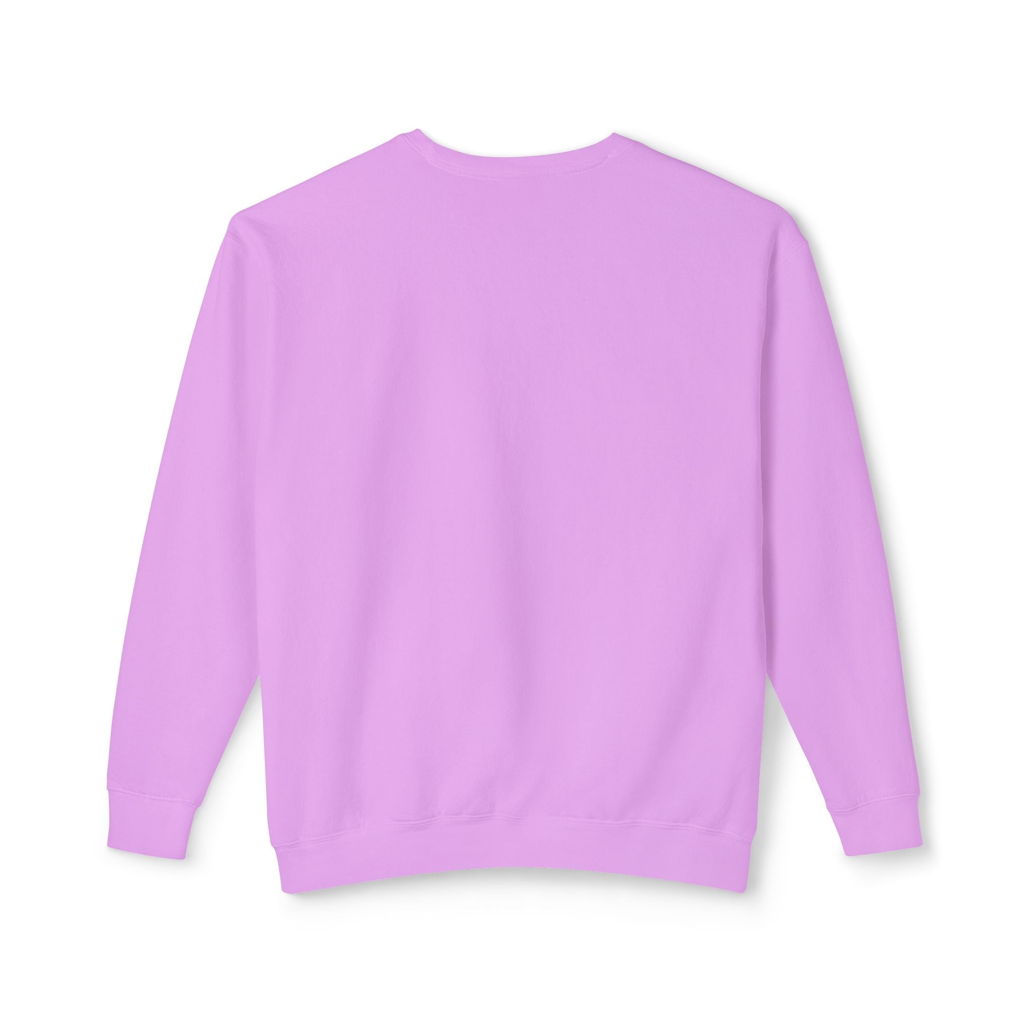 Crewneck Sweatshirt — Retro NBW Stripe Logo Lightweight Pullover